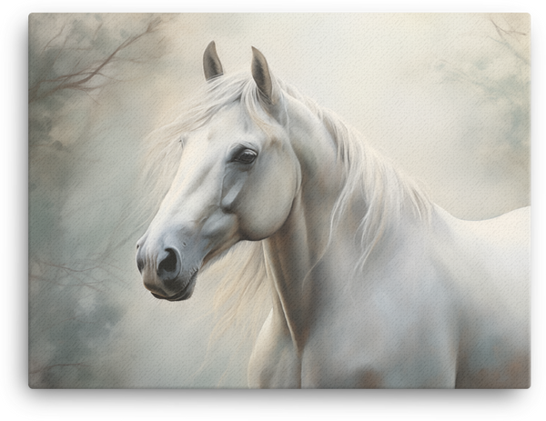 Serene White Beauty Horse Canvas Wall Art
